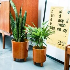 Pisa Mustard Planter H19Cm D16Cm -Garden Pro Shop PMP19 2