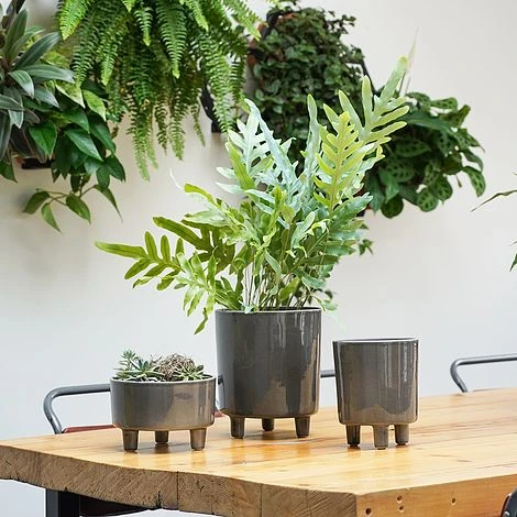 Pisa Slate Planter H24Cm D20Cm 1 Pisa Slate Planter H24Cm D20Cm