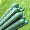 Plant & Tomato Support Stakes - 1.5m / 59" Long