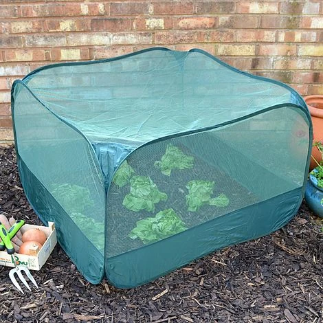 Pop Up Fruit And Vegetable Cage Grow-House (0.65m High) 1 Pop Up Fruit And Vegetable Cage Grow-House (0.65m High)