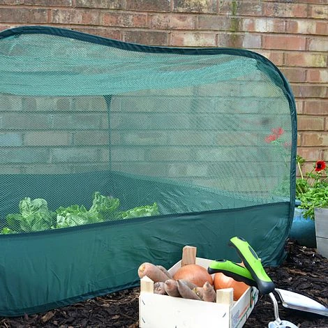Pop Up Fruit And Vegetable Cage Grow-House (0.65m High) 4 Pop Up Fruit And Vegetable Cage Grow-House (0.65m High) - Image 4