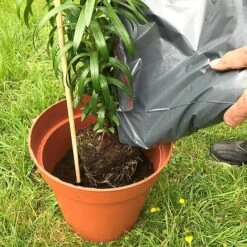 'Pot Master' Drainer Disc (packs Of 3) -Garden Pro Shop Pot20Master201000x100020820kb