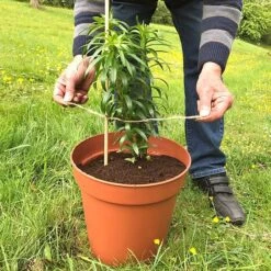 'Pot Master' Drainer Disc (packs Of 3) -Garden Pro Shop Pot20Master201000x100020880kb