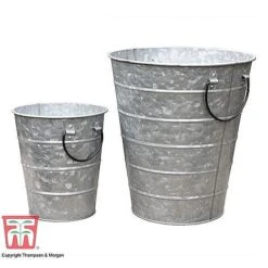 Rustic Planter -Garden Pro Shop RUST WGKB7411 C2