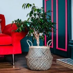 Seagrass Chevron Black Lined Basket Small H25Cm D30Cm -Garden Pro Shop SCBB30 2