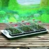 Big 3 Electric Propagator