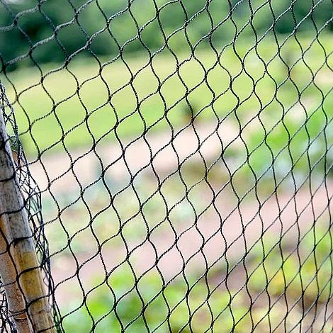 Superior Fruit Cage Net -Garden Pro Shop SUNET32787