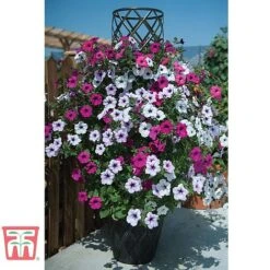 Black & Gold Tower Pot&trade; -Garden Pro Shop TOWE TKA8073 B1