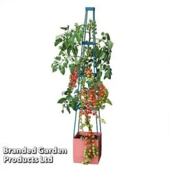Garden Grow Self Watering Tomato Tower -Garden Pro Shop TOWE TOMSELFWA T045925