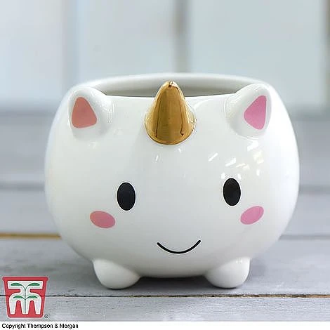 Unicorn Pot With Sanseviera 'Fernwood' Plant- Gift 2 Unicorn Pot With Sanseviera 'Fernwood' Plant- Gift - Image 2