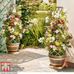 Wooden Barrel Effect Tower Pot -Garden Pro Shop WOOD KB0330 G