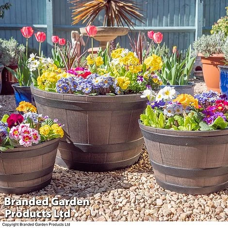 Wooden Barrel Effect Planter – Large 5 Wooden Barrel Effect Planter – Large - Image 5