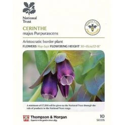 Seed Collection Tin + 10 Packets Of National Trust Seeds -Garden Pro Shop cerinthe majus P2