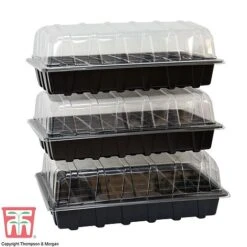 Garden Grow Plug And Seed Growing Tray -Garden Pro Shop domed