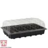 Garden Grow Plug And Seed Growing Tray