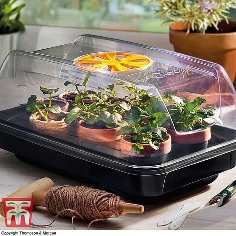 Garden Gear Heated Propagator 1 Garden Gear Heated Propagator
