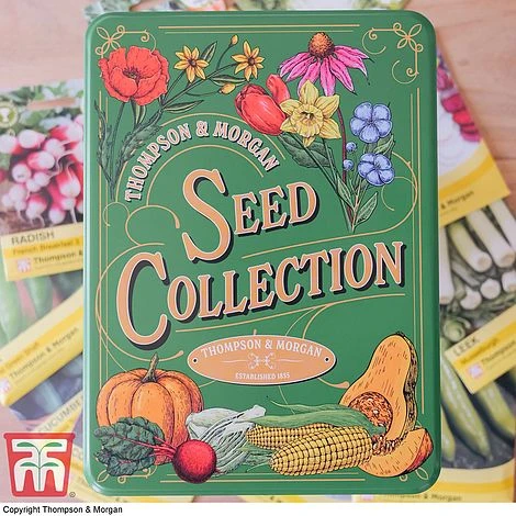 Seed Collection Tin - Gift 2 Seed Collection Tin - Gift - Image 2