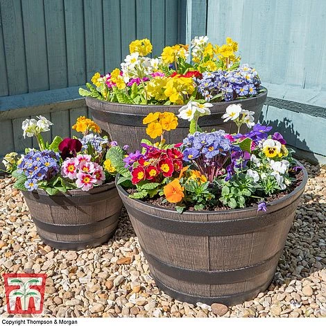Wooden Barrel Effect Planter – Large 4 Wooden Barrel Effect Planter – Large - Image 4