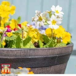 Wooden Barrel Effect Planter – Medium 8 Wooden Barrel Effect Planter – Medium -Garden Pro Shop wood bar61